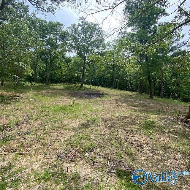0.51 Acres of Residential Land for Sale in Leesburg, Alabama