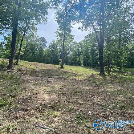 0.39 Acres of Residential Land for Sale in Leesburg, Alabama