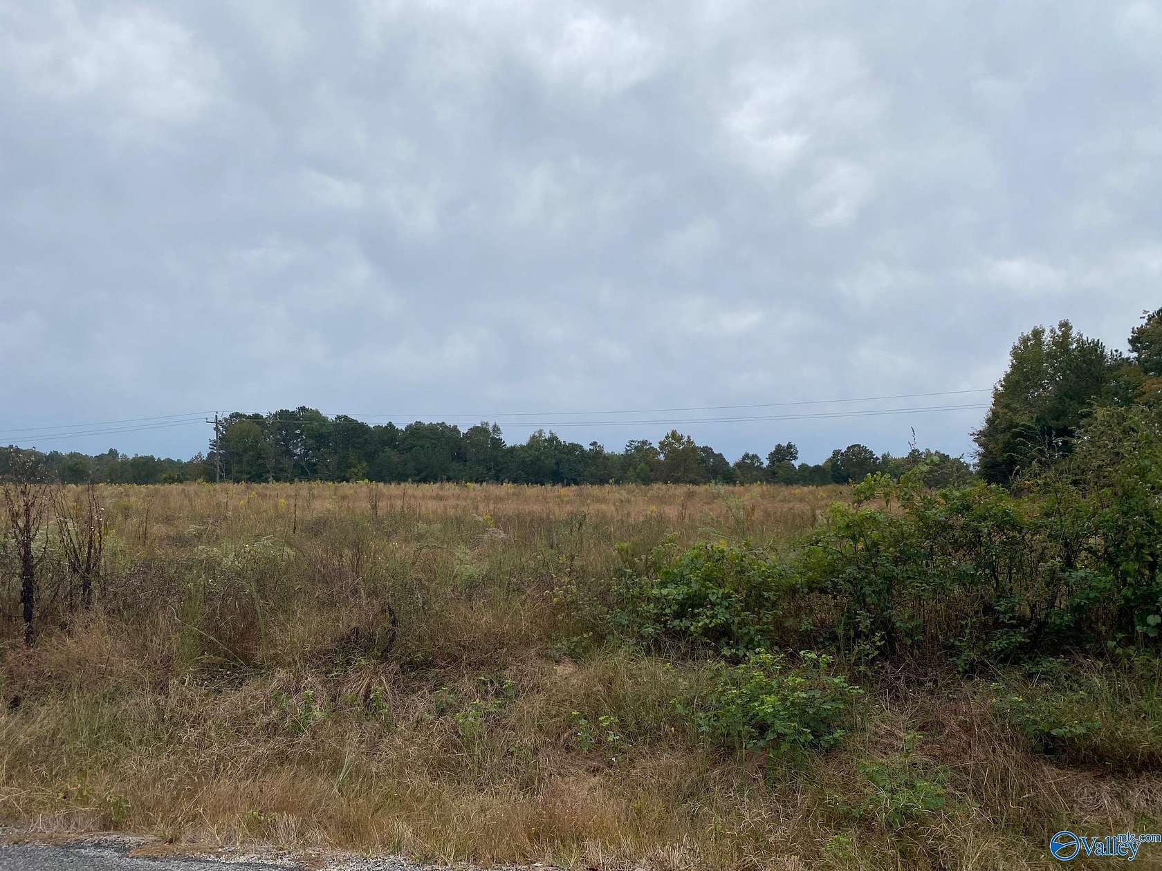 120 Acres of Recreational Land for Sale in Leesburg, Alabama