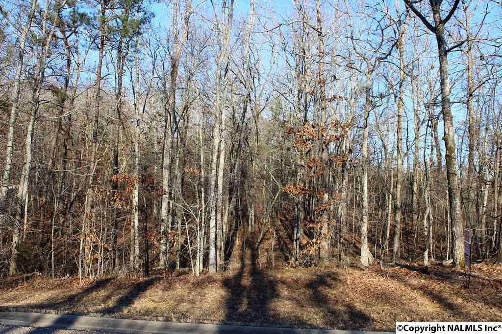 0.83 Acres of Residential Land for Sale in Centre, Alabama