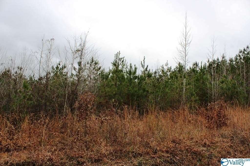 0.7 Acres of Residential Land for Sale in Centre, Alabama