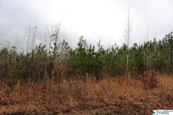 0.7 Acres of Residential Land for Sale in Centre, Alabama