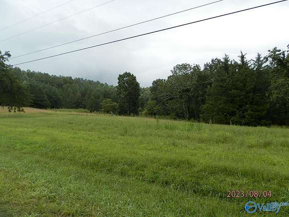 49.7 Acres of Land for Sale in Spruce Pine, Alabama