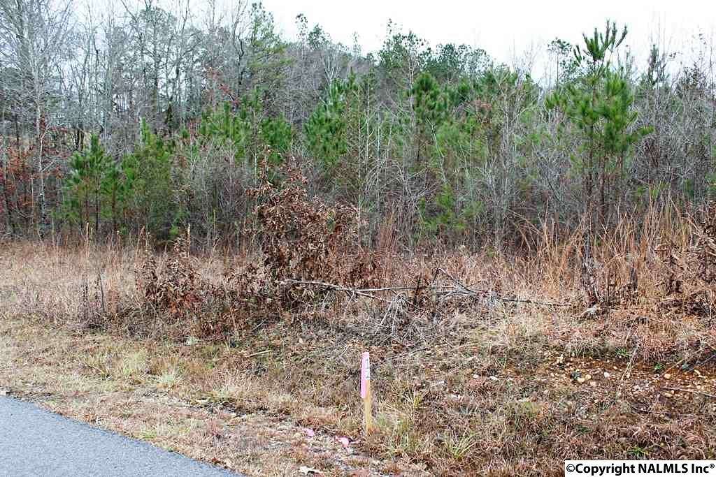 0.77 Acres of Residential Land for Sale in Centre, Alabama