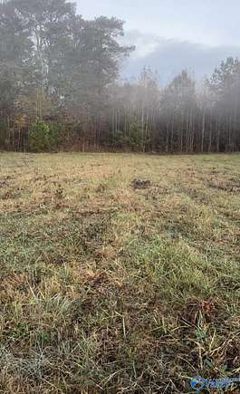 25 Acres of Recreational Land for Sale in Collinsville, Alabama