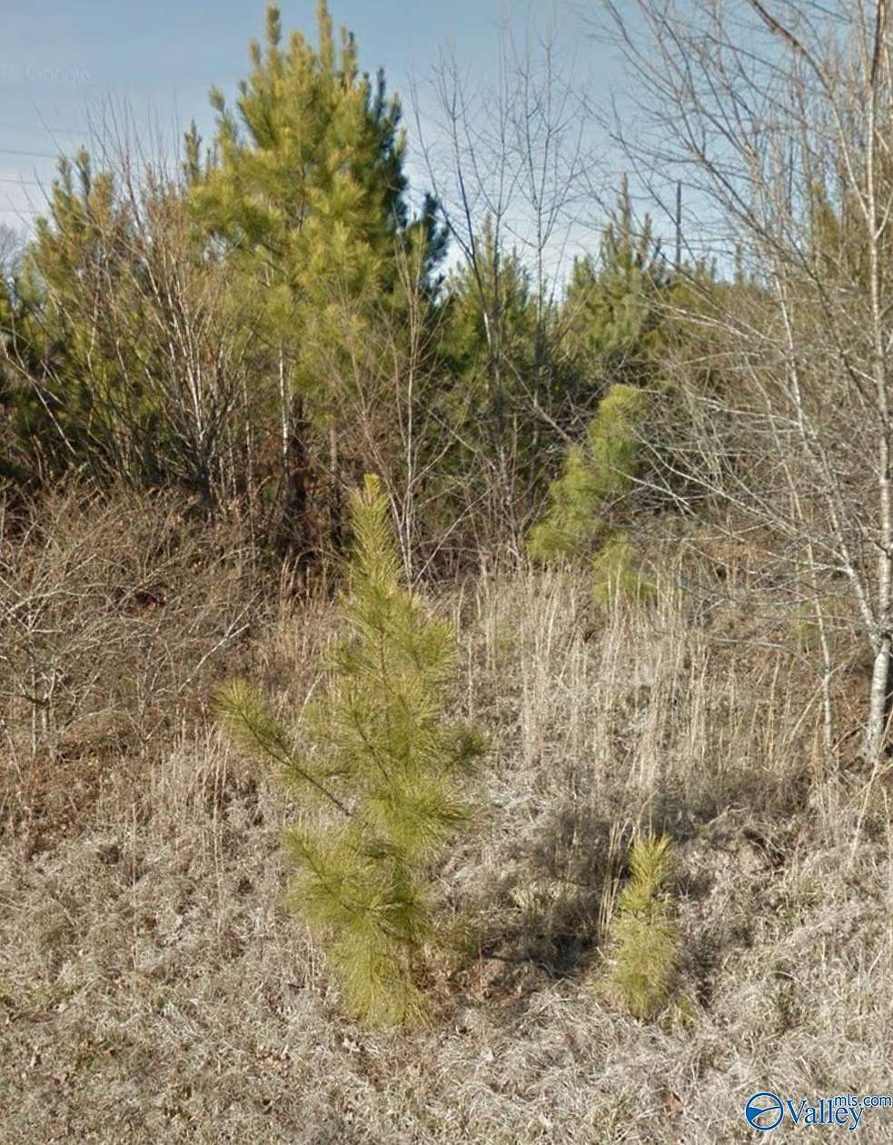 0.35 Acres of Land for Sale in Attalla, Alabama