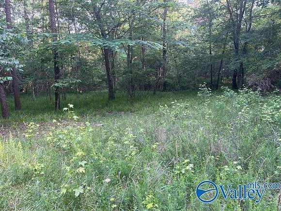 9.9 Acres of Land for Sale in Fort Payne, Alabama