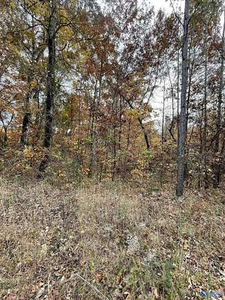 0.76 Acres of Residential Land for Sale in Gadsden, Alabama