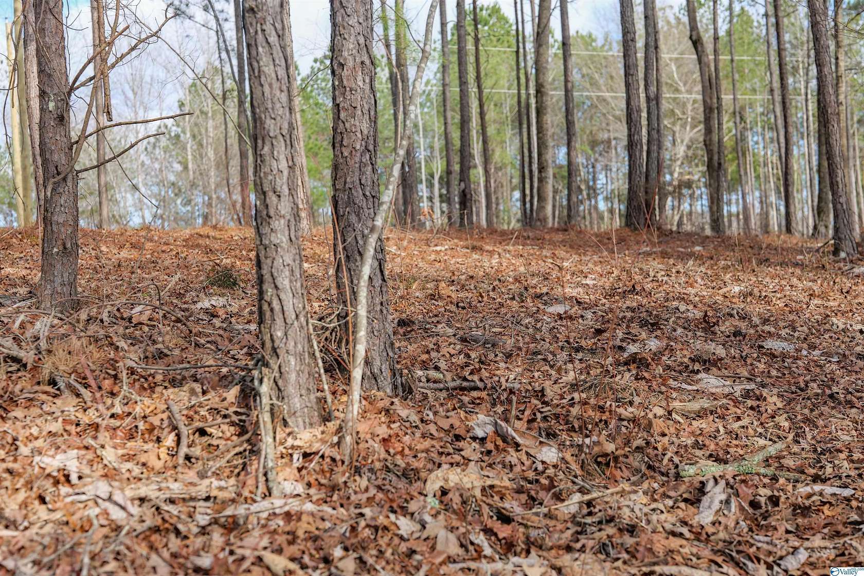 0.69 Acres of Residential Land for Sale in Double Springs, Alabama