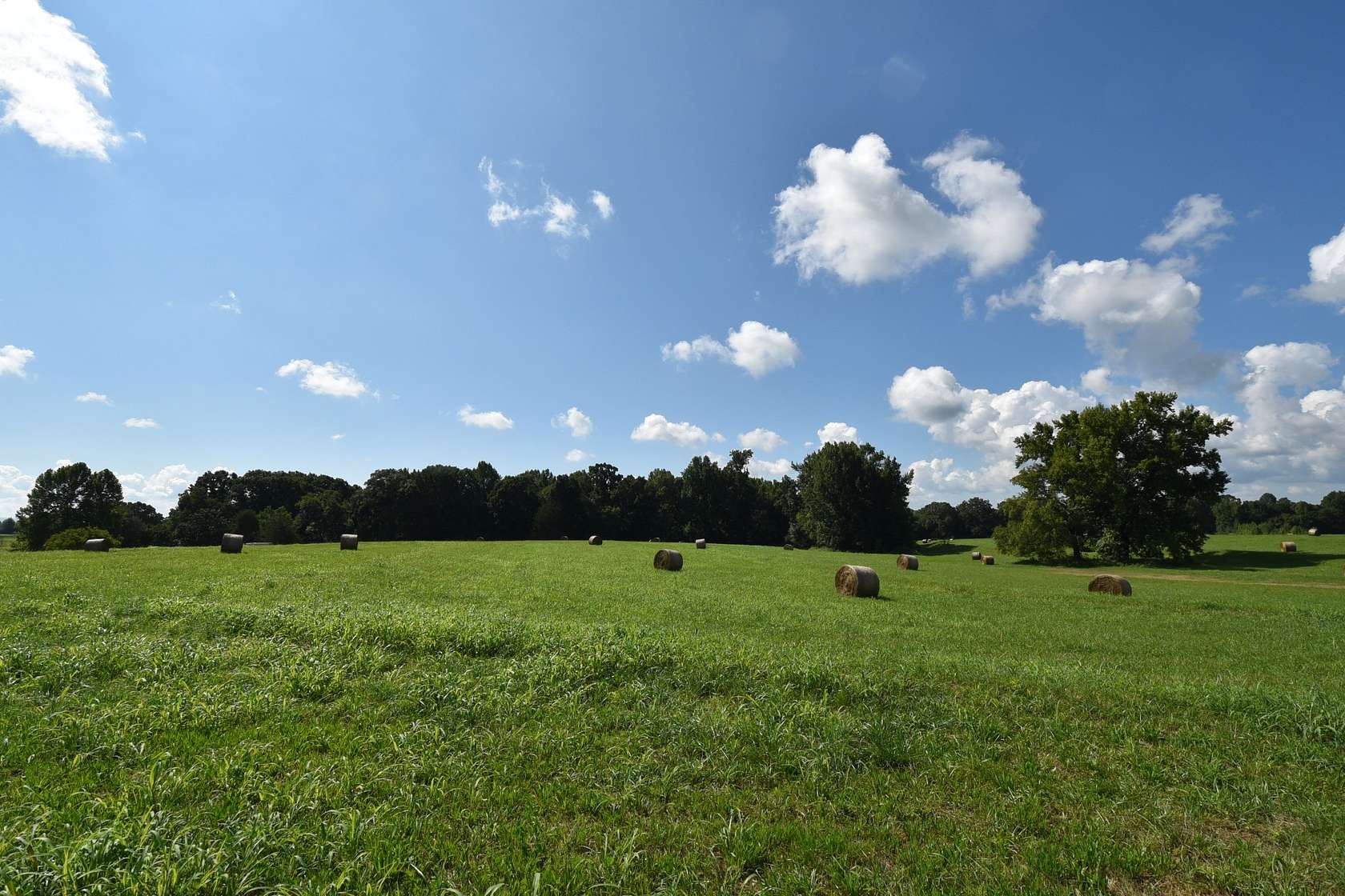28.6 Acres of Recreational Land & Farm for Sale in Fayetteville, Tennessee