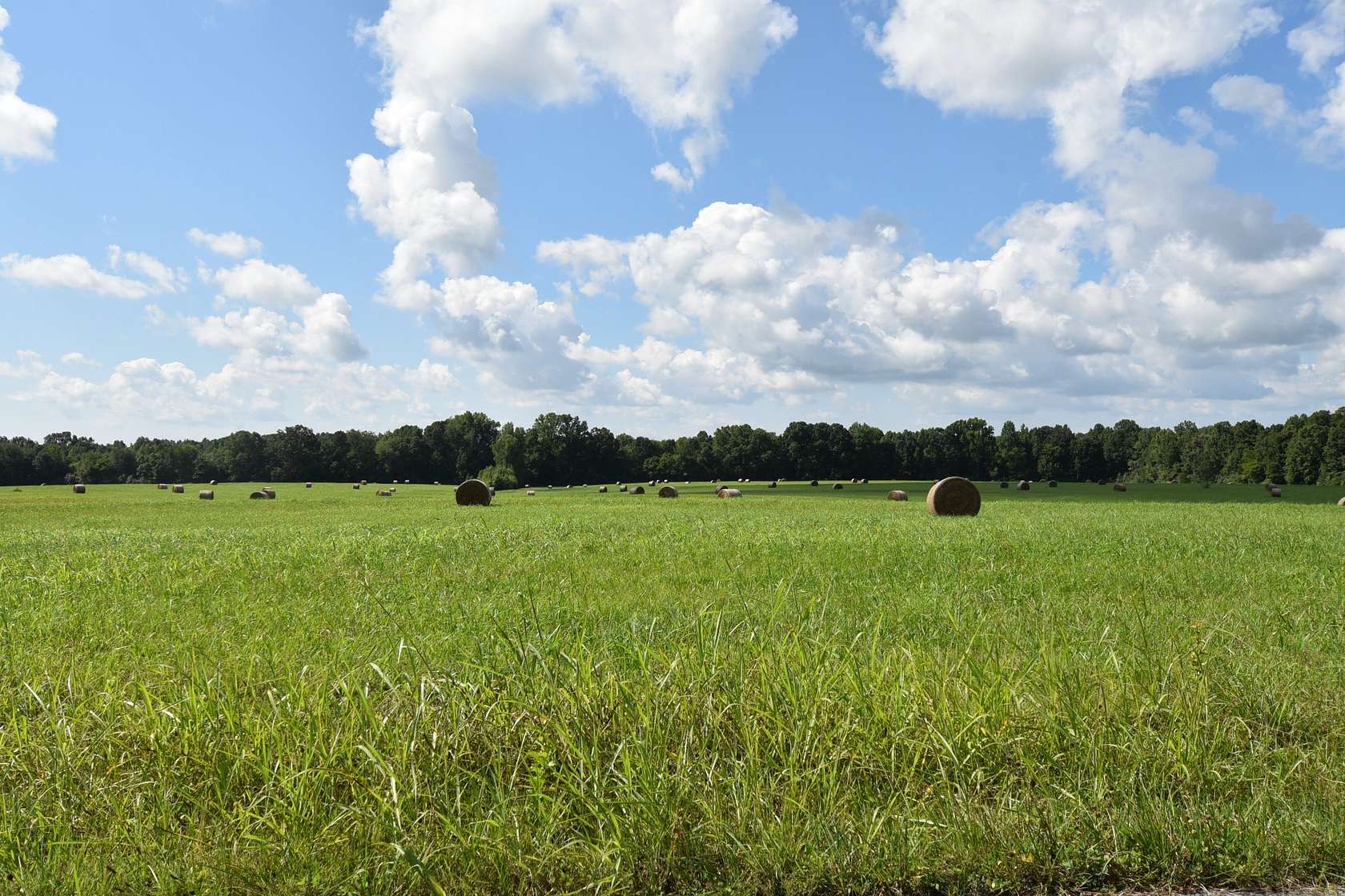 35 Acres of Agricultural Land for Sale in Fayetteville, Tennessee