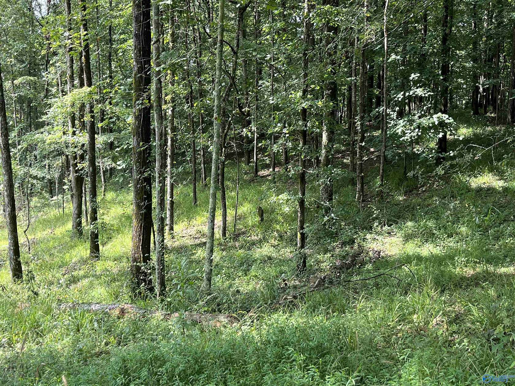 1.7 Acres of Land for Sale in Logan, Alabama
