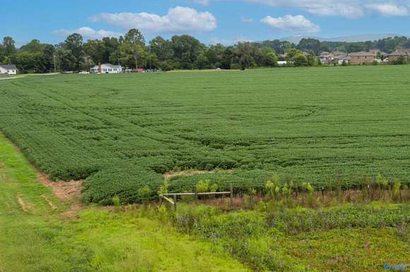 22 Acres of Land for Sale in Owens Cross Roads, Alabama