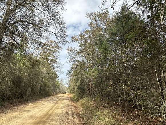 39.48 Acres of Recreational Land for Sale in Bonifay, Florida