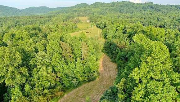 68.4 Acres of Agricultural Land for Sale in Williamsburg, Kentucky
