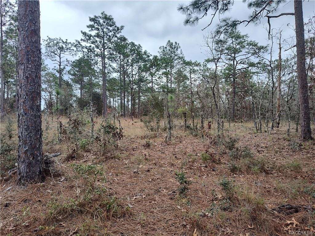 1.1 Acres of Residential Land for Sale in Dunnellon, Florida