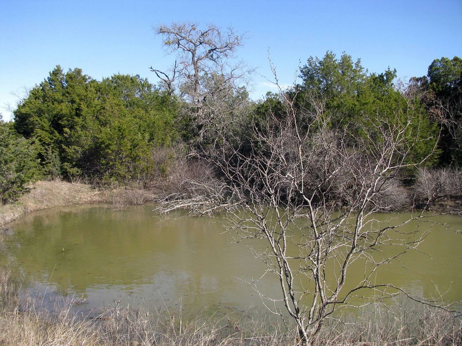 10 Acres of Land for Sale in Evant, Texas