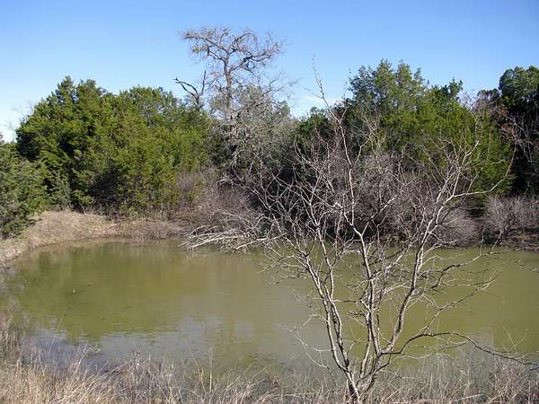 10 Acres of Land for Sale in Evant, Texas