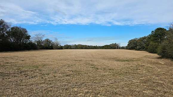 38 Acres of Agricultural Land for Sale in Newton, Alabama