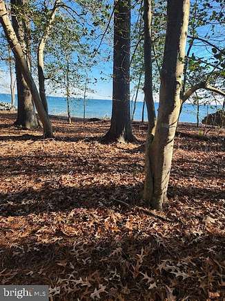 5.4 Acres of Residential Land for Sale in Dameron, Maryland