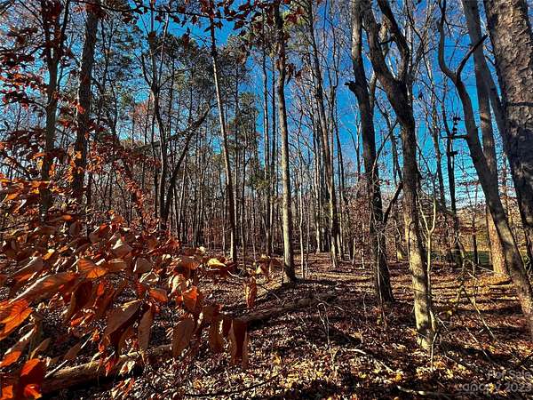 1 Acre of Residential Land for Sale in Davidson, North Carolina