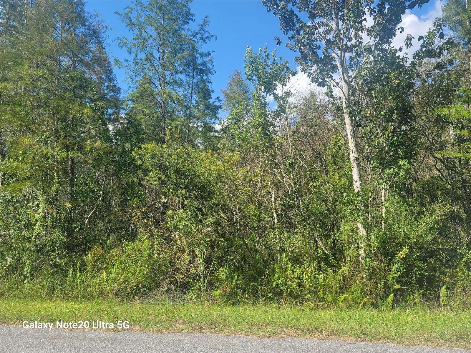 0.65 Acres of Residential Land for Sale in St. Cloud, Florida