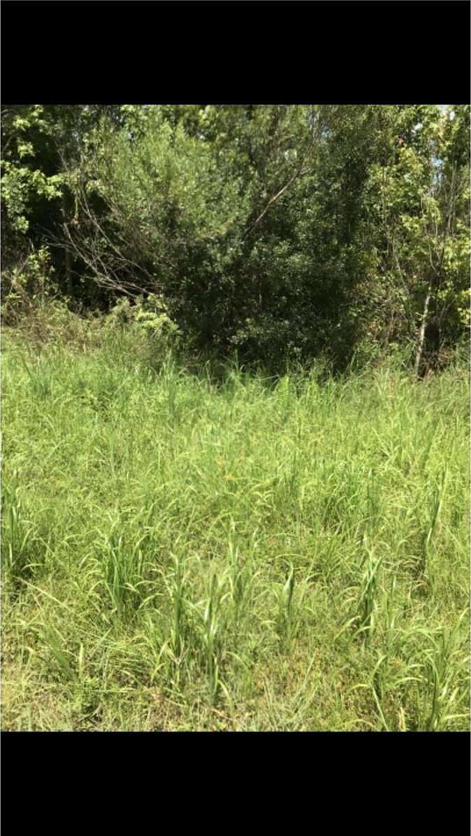 0.37 Acres of Land for Sale in Polk City, Florida