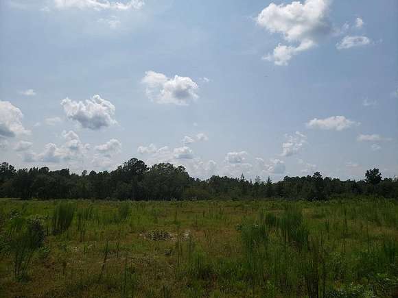 3 Acres of Residential Land for Sale in Baxley, Georgia