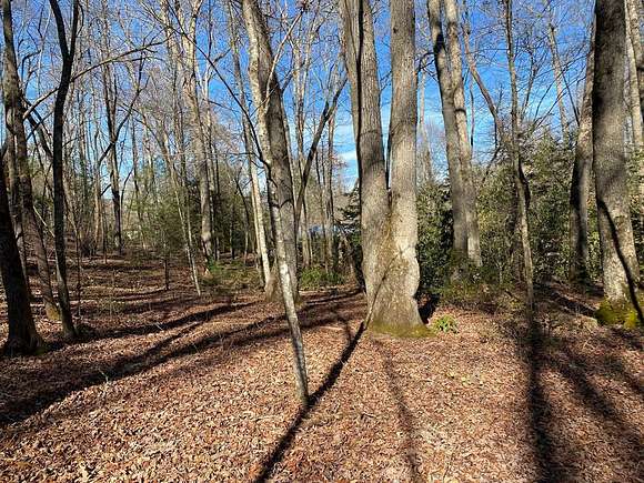1 Acre of Residential Land for Sale in Andrews, North Carolina