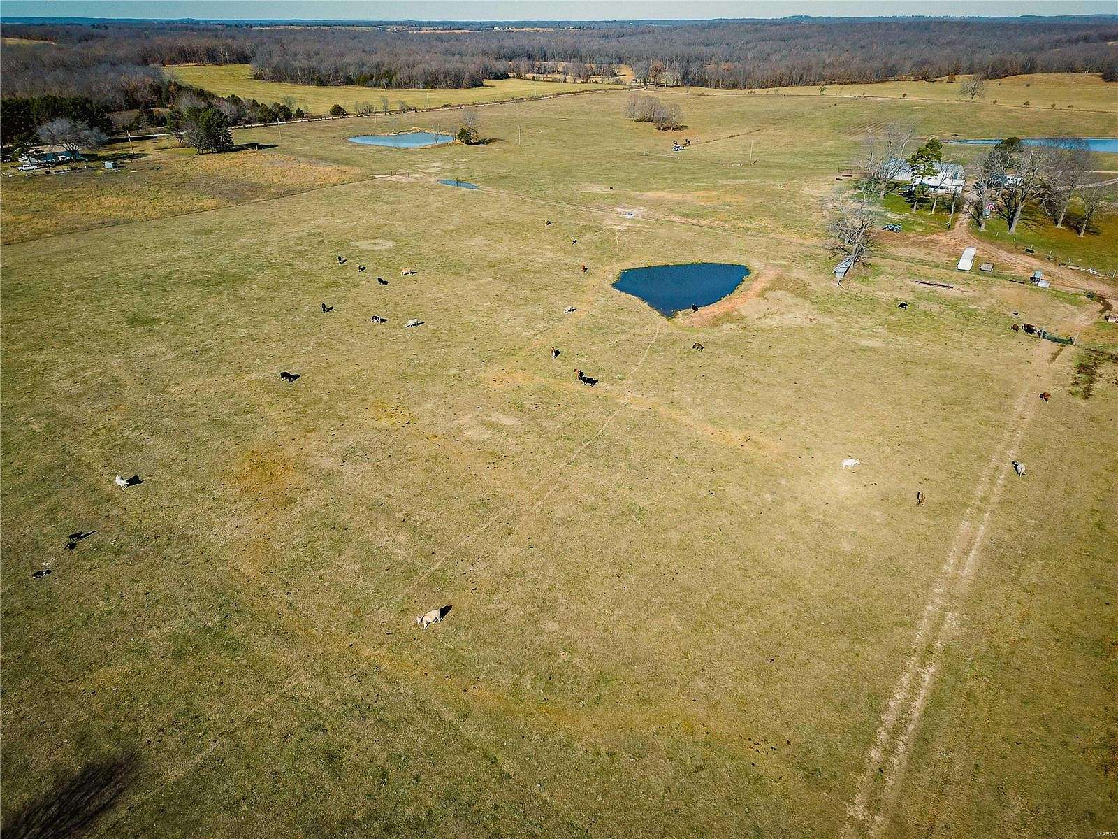 20 Acres of Recreational Land & Farm for Sale in Koshkonong, Missouri