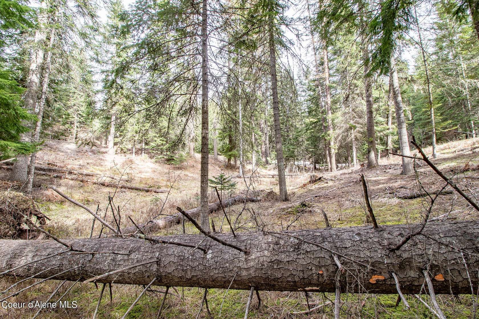 2.1 Acres of Residential Land for Sale in Hayden, Idaho
