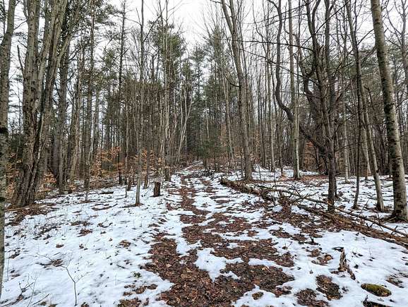 30 Acres of Recreational Land & Farm for Sale in Hornby, New York
