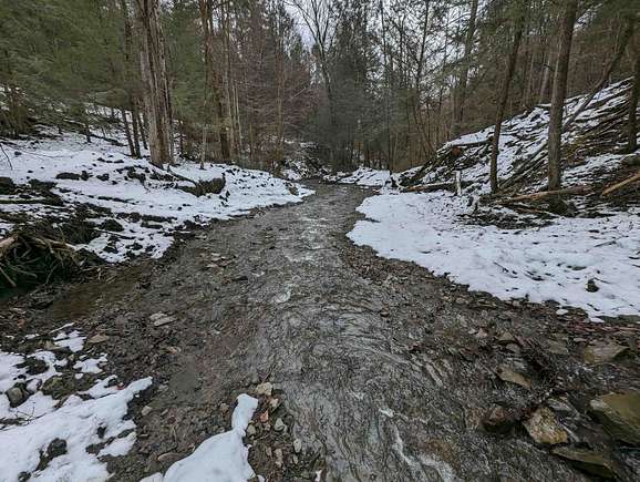 13 Acres of Recreational Land for Sale in Hornby, New York