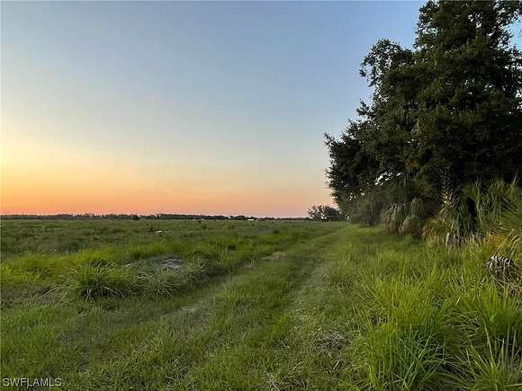 54.1 Acres of Agricultural Land for Sale in LaBelle, Florida