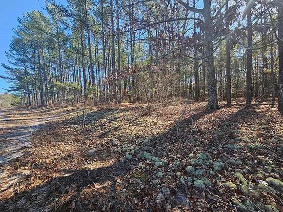 1.1 Acres of Land for Sale in St. Matthews, South Carolina