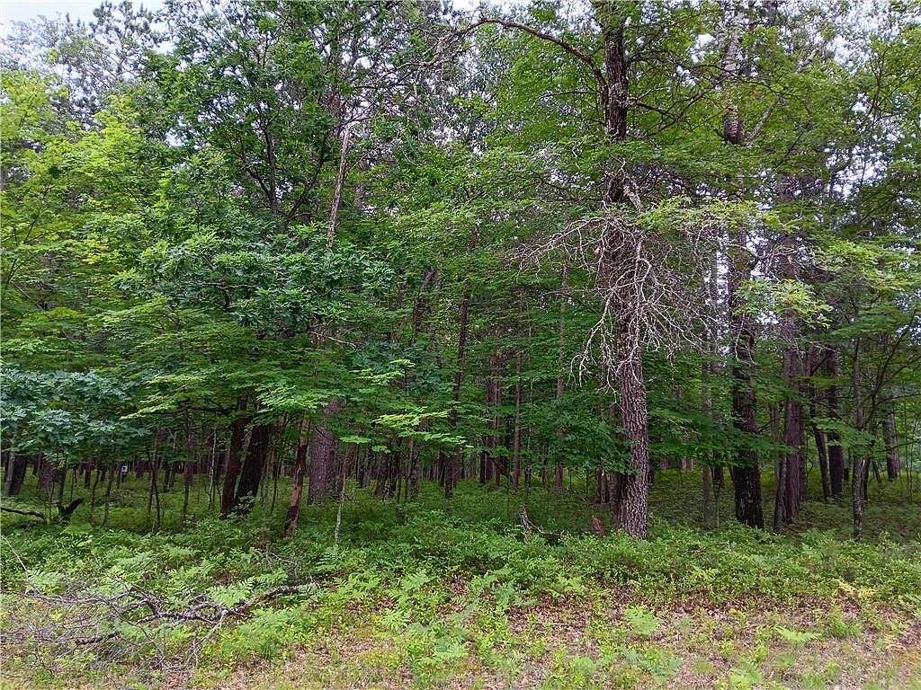 0.54 Acres of Residential Land for Sale in Danbury, Wisconsin