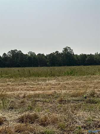3.8 Acres of Land for Sale in Elkmont, Alabama