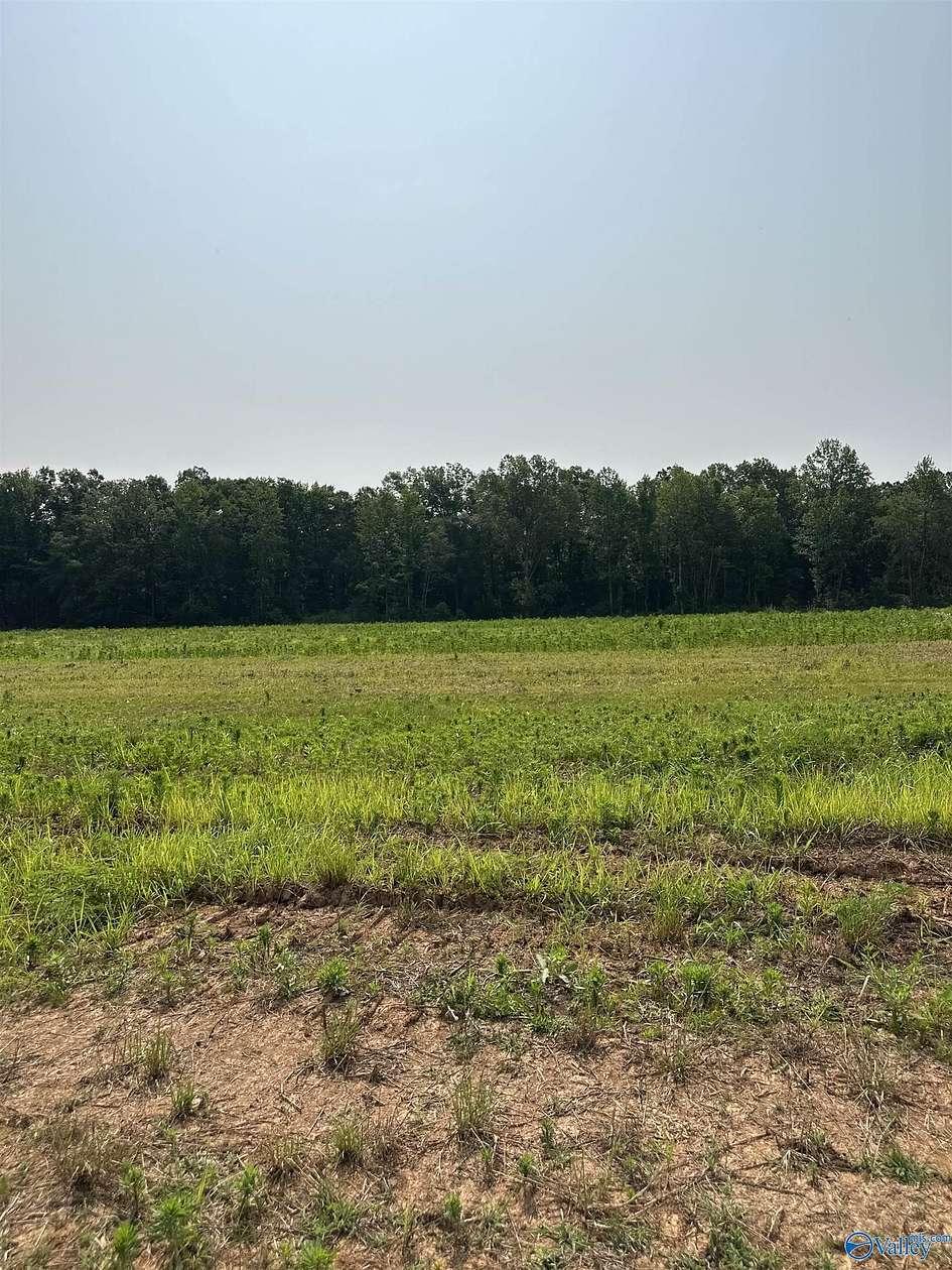 8.1 Acres of Agricultural Land for Sale in Elkmont, Alabama