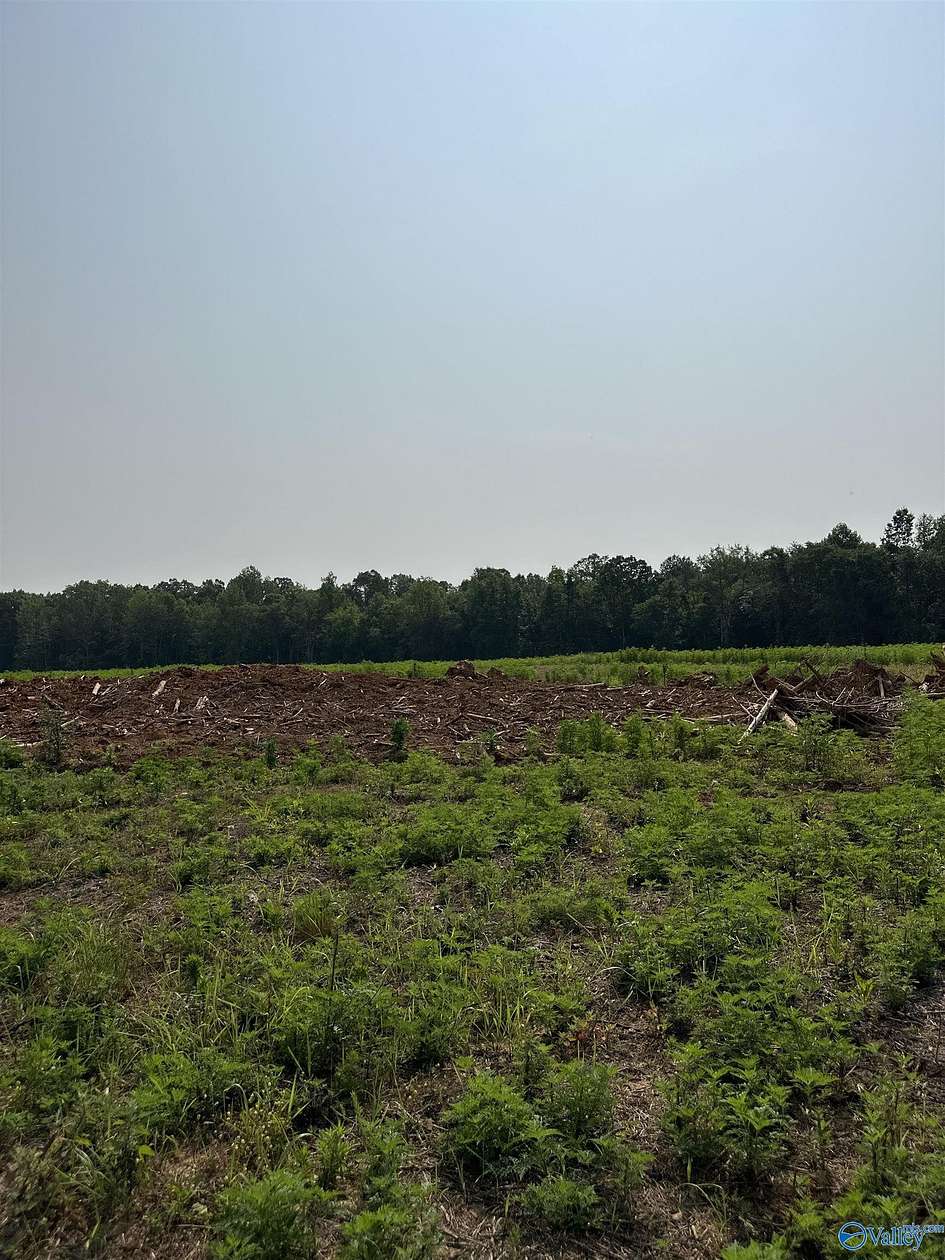6.5 Acres of Agricultural Land for Sale in Elkmont, Alabama