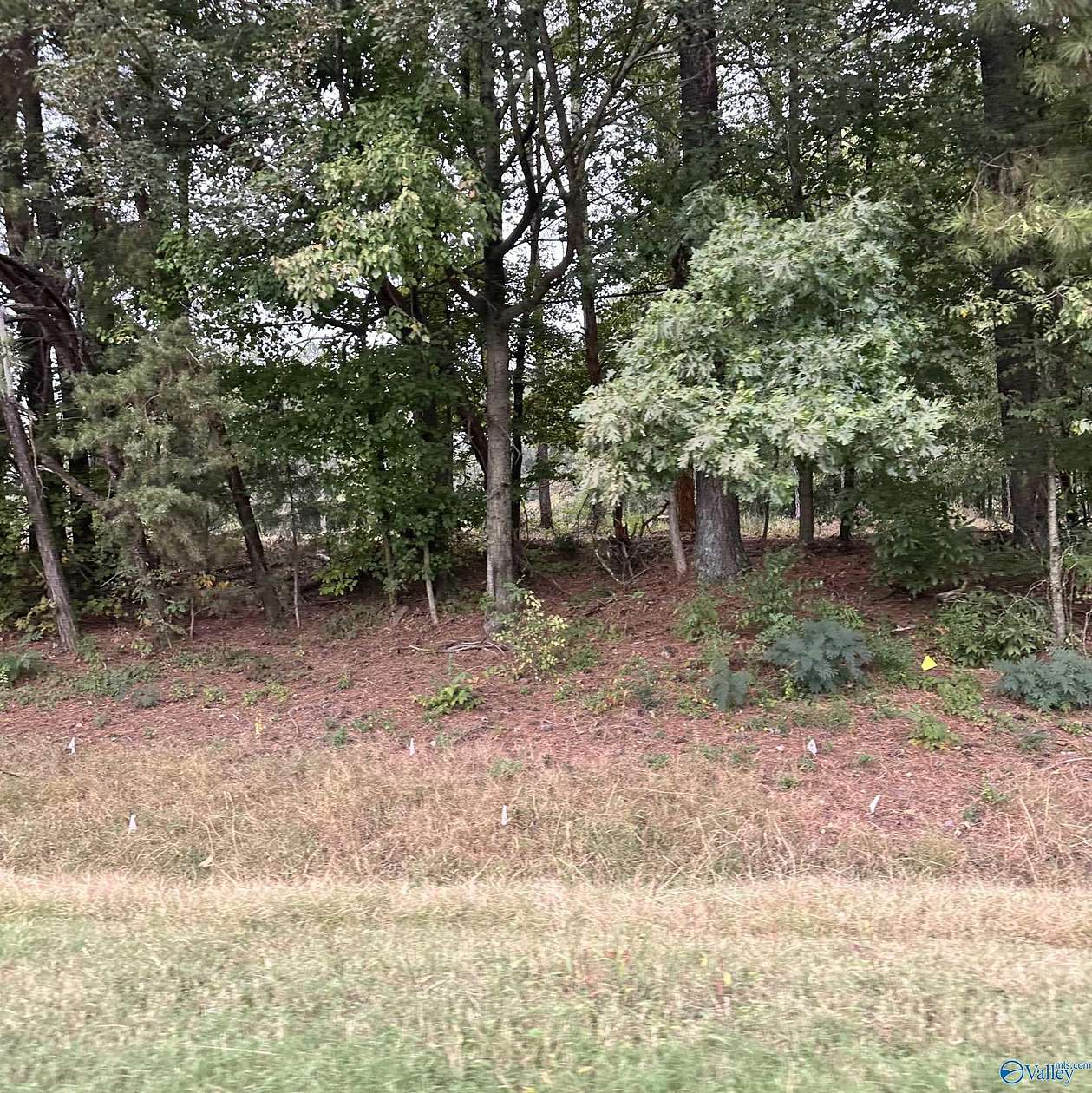 1.8 Acres of Land for Sale in Athens, Alabama