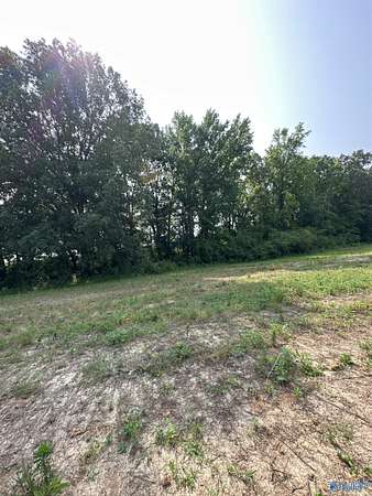 6.83 Acres of Agricultural Land for Sale in Elkmont, Alabama