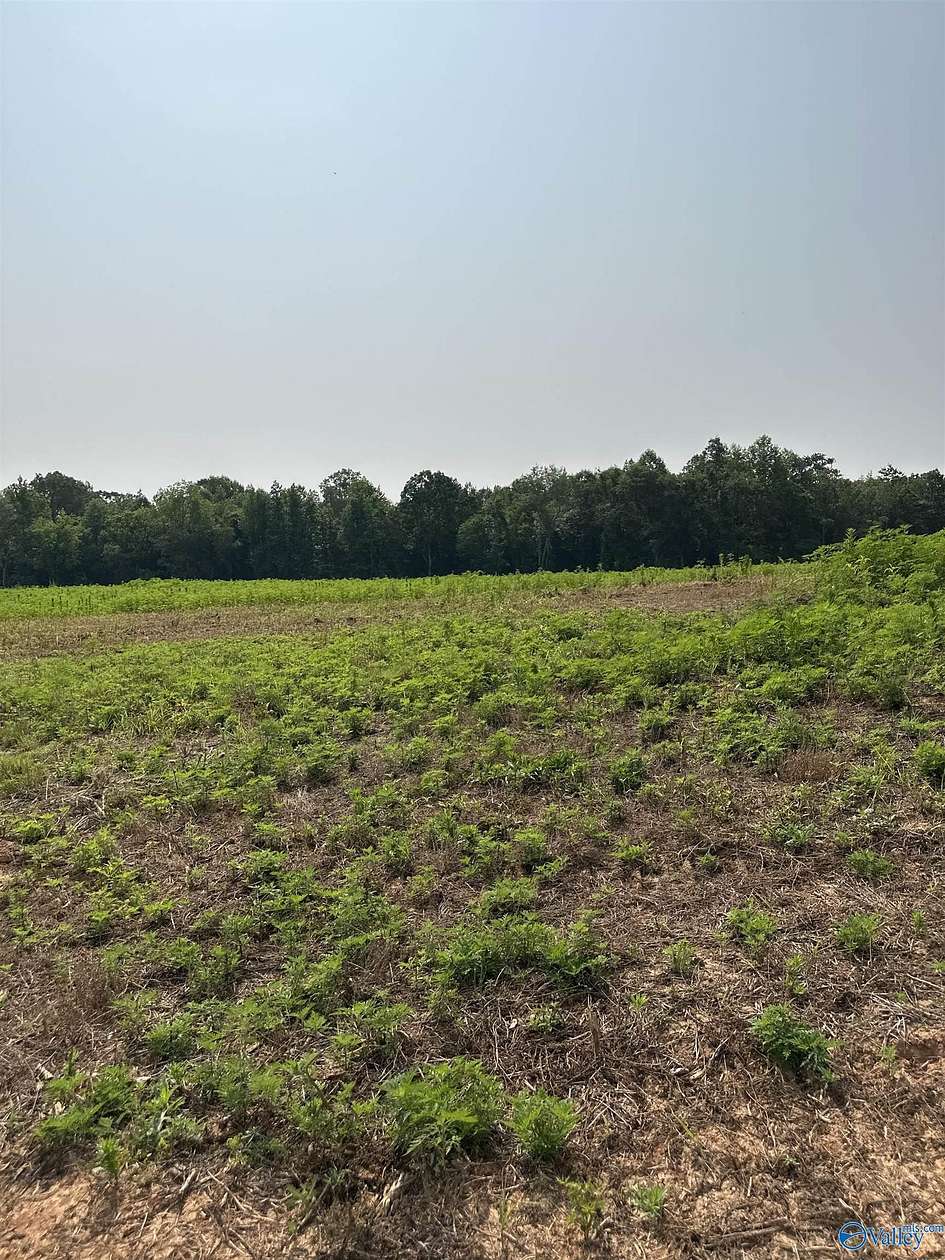 7.9 Acres of Agricultural Land for Sale in Elkmont, Alabama