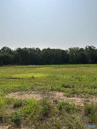 7.68 Acres of Agricultural Land for Sale in Elkmont, Alabama