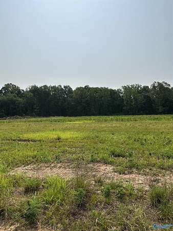 7.68 Acres of Agricultural Land for Sale in Elkmont, Alabama