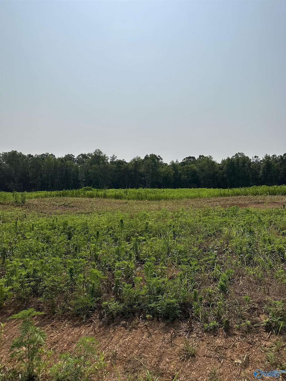 8.3 Acres of Agricultural Land for Sale in Elkmont, Alabama