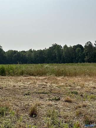 4.2 Acres of Land for Sale in Elkmont, Alabama
