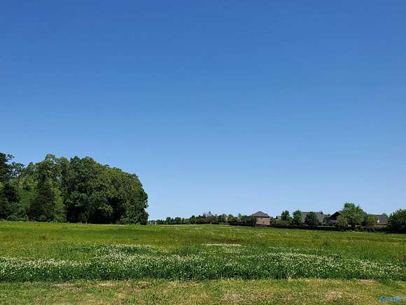10.9 Acres of Land for Sale in Madison, Alabama