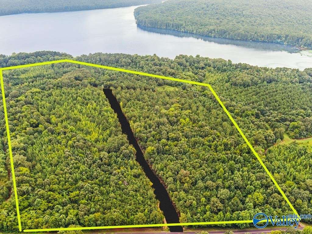 63 Acres of Land for Sale in Langston, Alabama
