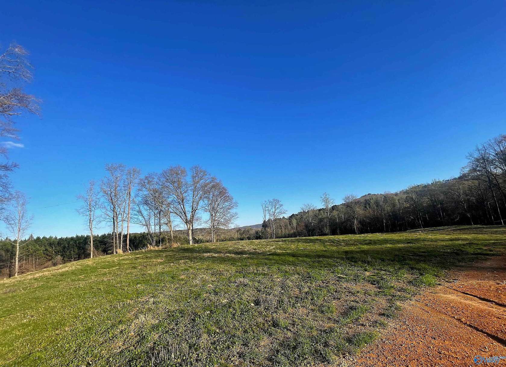 0.66 Acres of Residential Land for Sale in Altoona, Alabama