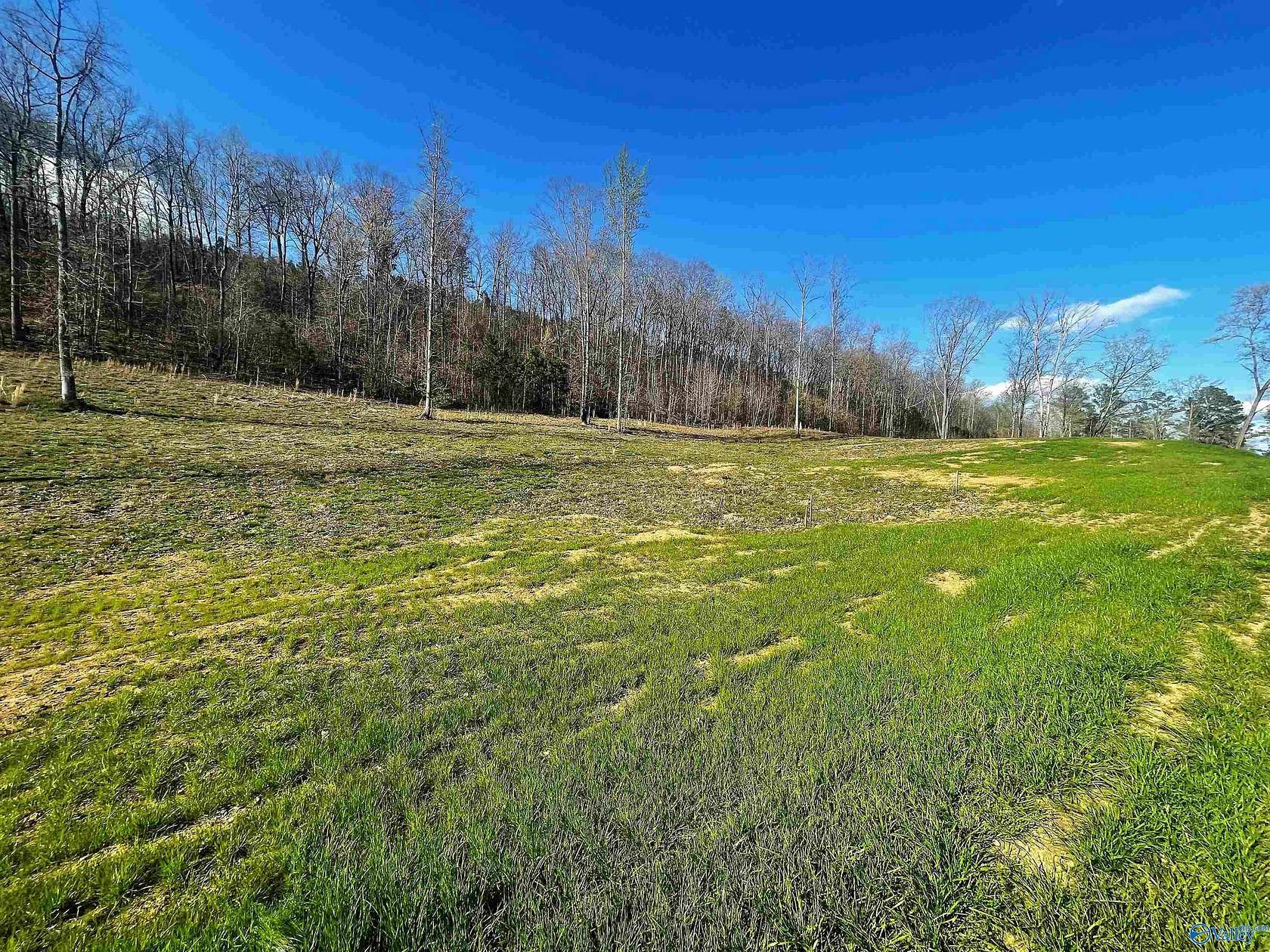 0.55 Acres of Residential Land for Sale in Altoona, Alabama